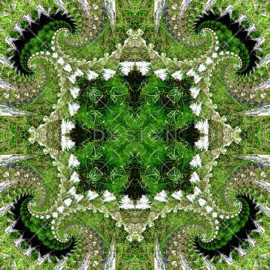 对称印花华亿平台图片