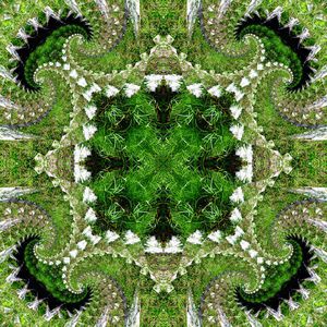 对称印花华亿平台图片