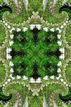 对称印花华亿平台图片