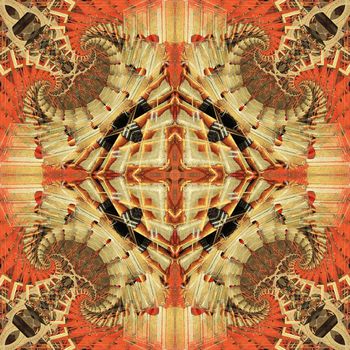 488472-混沌与秩序