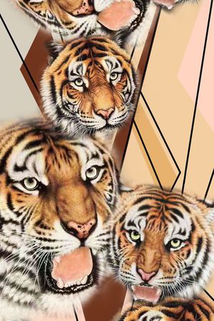 时尚印花华亿平台图片