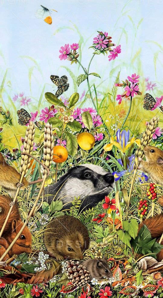 时尚印花华亿平台图片