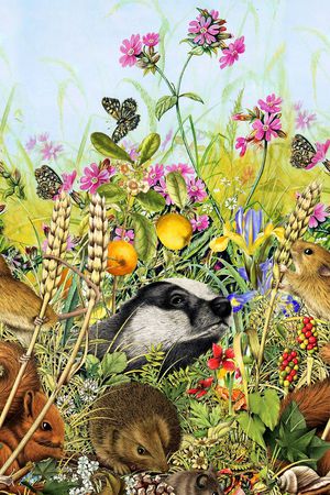 时尚印花华亿平台图片