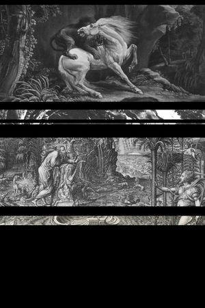 T恤卫衣夹克印花华亿平台图片