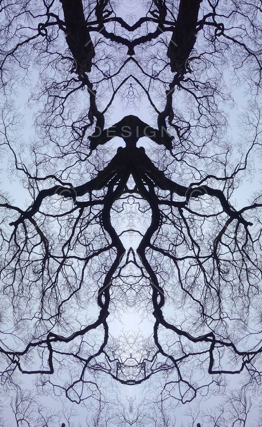 复古树木印花华亿平台图片