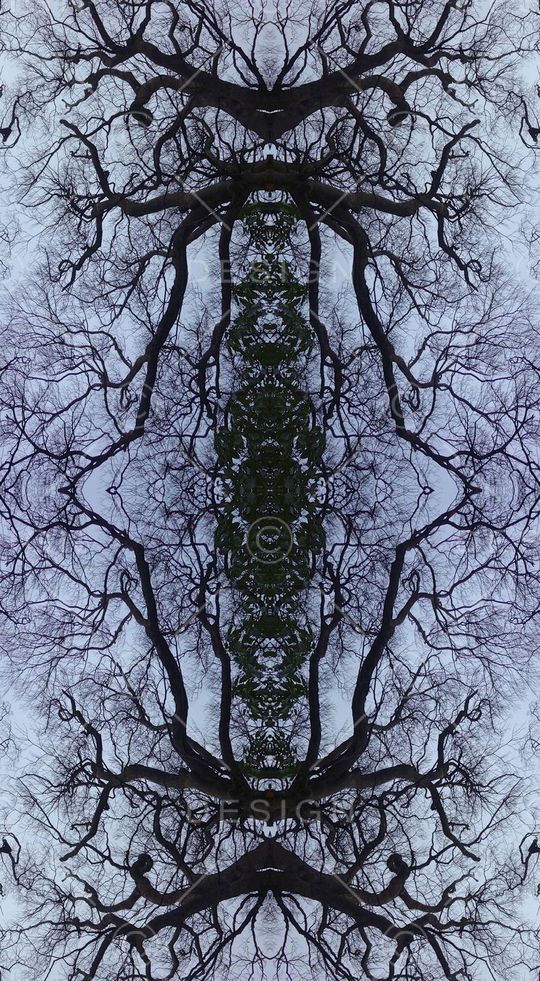 复古树木印花华亿平台图片