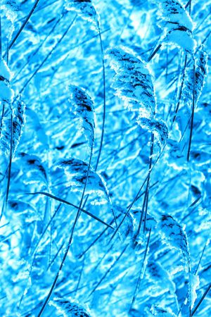 MAX-抽象自然风景印花华亿平台图片