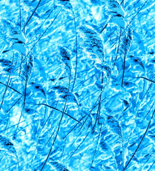 MAX-抽象自然风景印花华亿平台图片