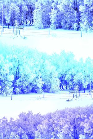 风景印花华亿平台图片