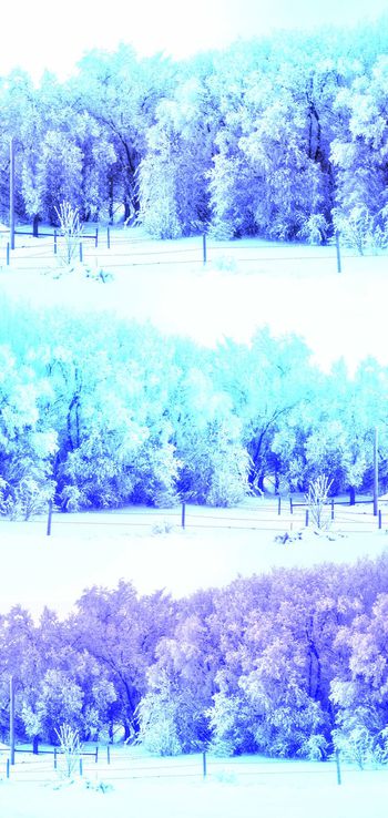 489086-时尚原创冬季霜露自然景观风景印花