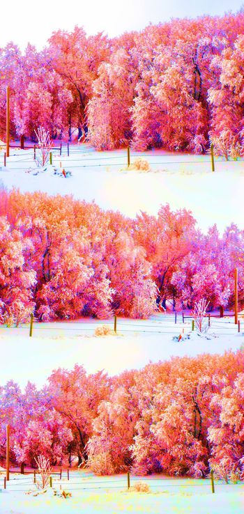 489089-时尚原创冬季霜露自然景观风景印花