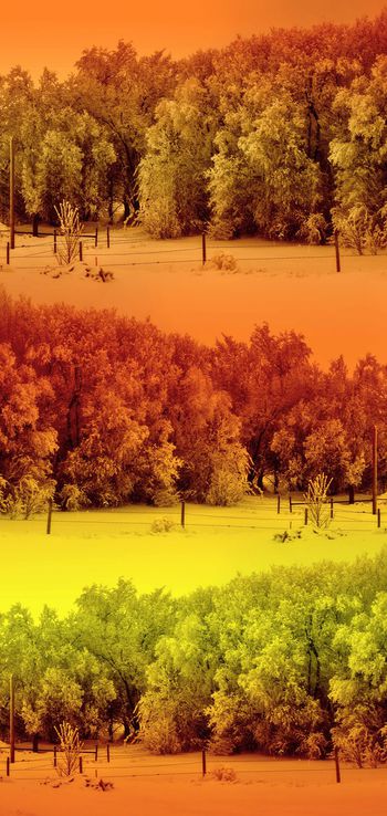 489090-时尚原创冬季霜露自然景观风景印花