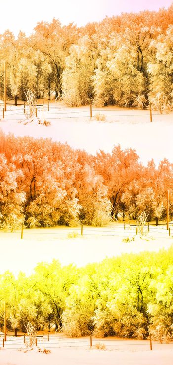 489092-时尚原创冬季霜露自然景观风景印花