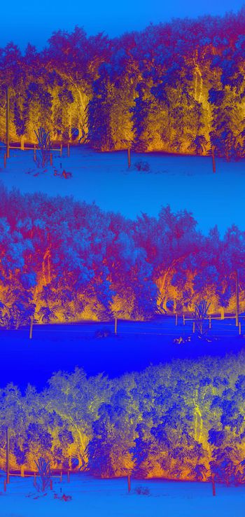 489098-时尚原创冬季霜露自然景观风景印花