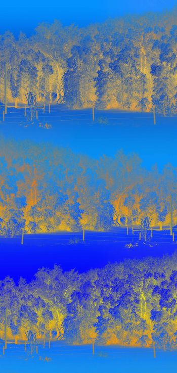 489101-时尚原创冬季霜露自然景观风景印花