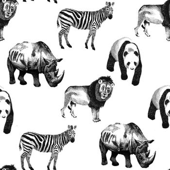 489107-欧美大牌野生动物2016秋冬男装外