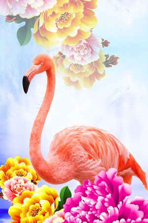 时尚定位印花华亿平台图片