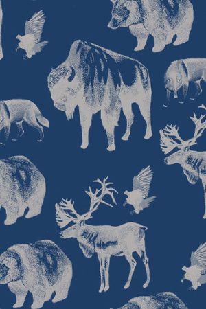 2016秋冬印花华亿平台图片