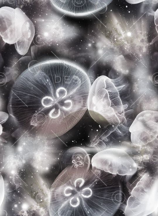 抽象星空幻彩水母印花华亿平台图片