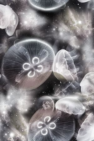 抽象星空幻彩水母印花华亿平台图片