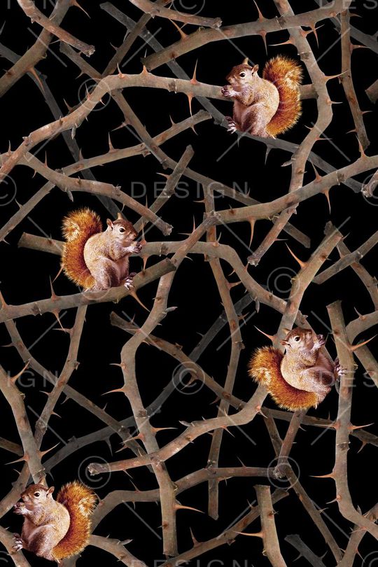 潮流男装印花华亿平台图片