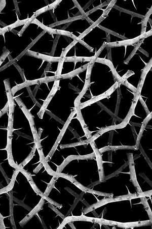 潮流男装印花华亿平台图片