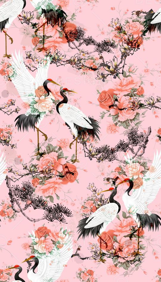 女装印花华亿平台图片