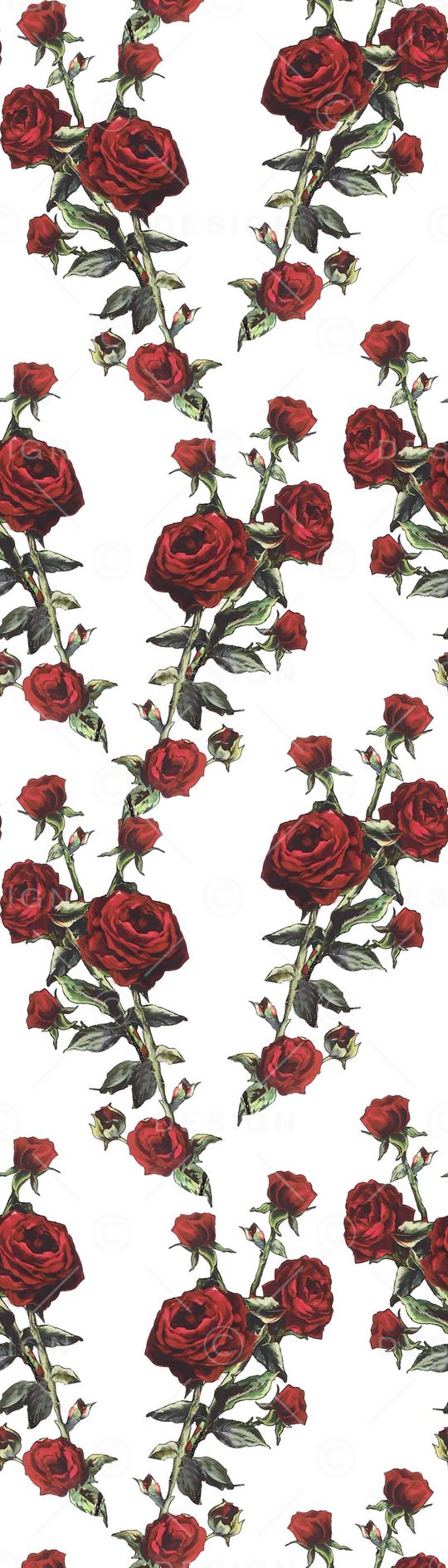 玫瑰花 大牌玫瑰花 女装 衬衣 连衣裙 雪纺 印花 几何 碎花 小碎花 大花 方块 衬衫印花 简单 时尚 大牌 潮流印花 女装印花 传统印花 T恤印花 波点 圆点 2066*2893 px 300 dpi 17*24 cm 2.0 MB 2015-08-04印花华亿平台图片