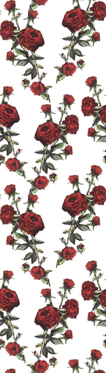 玫瑰花 大牌玫瑰花 女装 衬衣 连衣裙 雪纺 印花 几何 碎花 小碎花 大花 方块 衬衫印花 简单 时尚 大牌 潮流印花 女装印花 传统印花 T恤印花 波点 圆点 2066*2893 px 300 dpi 17*24 cm 2.0 MB 2015-08-04印花华亿平台图片