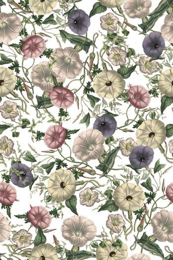 489357-欧美流行时尚手绘藤曼喇叭花女装连衣