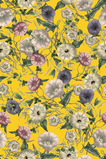 489358-欧美流行时尚手绘藤曼喇叭花女装连衣