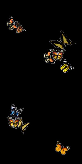 纯底印花华亿平台图片