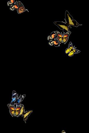 纯底印花华亿平台图片