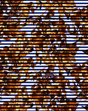 489434-流行时尚青花横纹印花