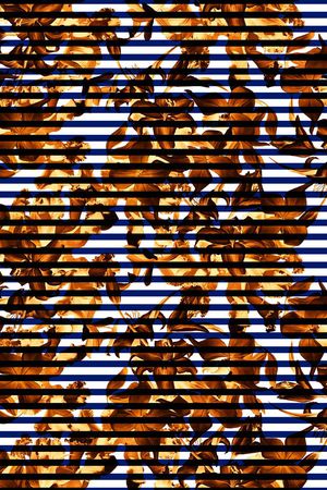 流行时尚印花华亿平台图片