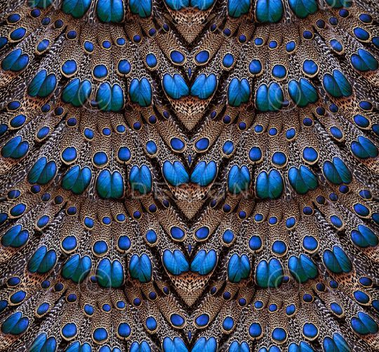 民族风印花华亿平台图片