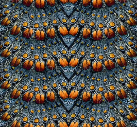 民族风印花华亿平台图片