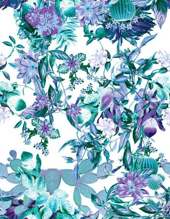 489497-原创植物仙人掌花卉