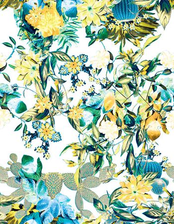 489498-原创植物仙人掌花卉