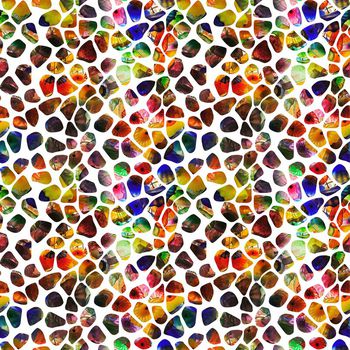 489549-贝壳水母肌理动物纹