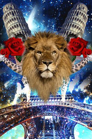 狮子印花华亿平台图片