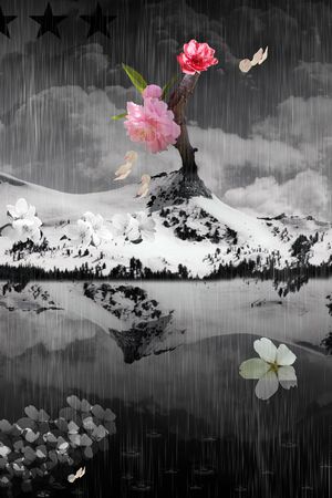 超现实主义印花华亿平台图片