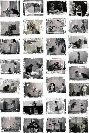 489705-有猫陪伴的童年可爱影集印花