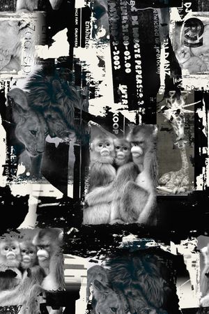 黑白印花华亿平台图片