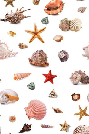 海底生物印花华亿平台图片