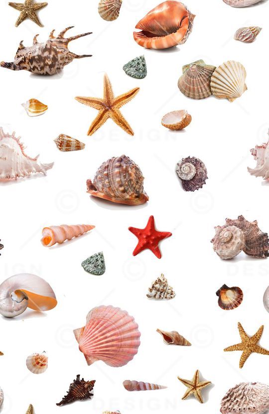 海底生物印花华亿平台图片