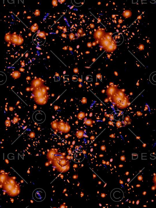 潮流印花华亿平台图片