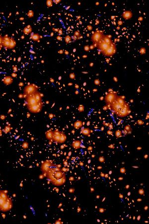 潮流印花华亿平台图片