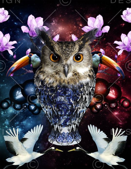 猫头鹰印花华亿平台图片