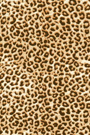 动物纹印花华亿平台图片